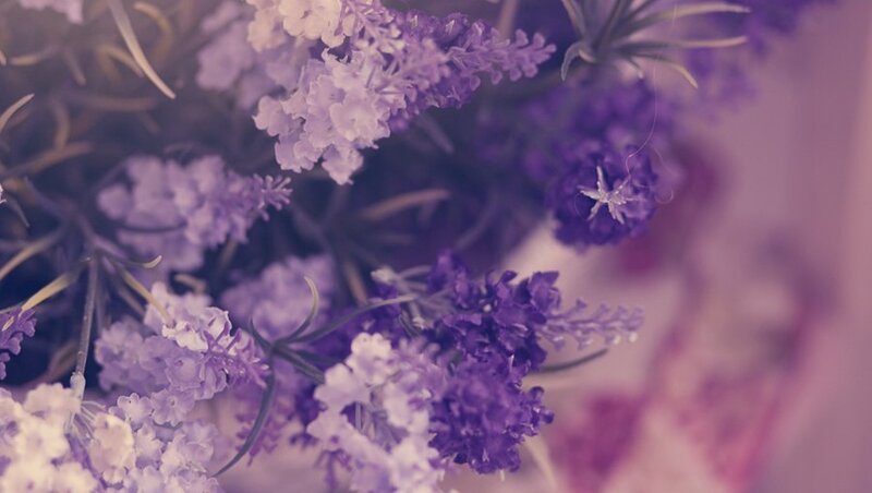 Purple Flowers in a Bouquet — Serene