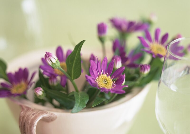 Purple flowers in a bowl