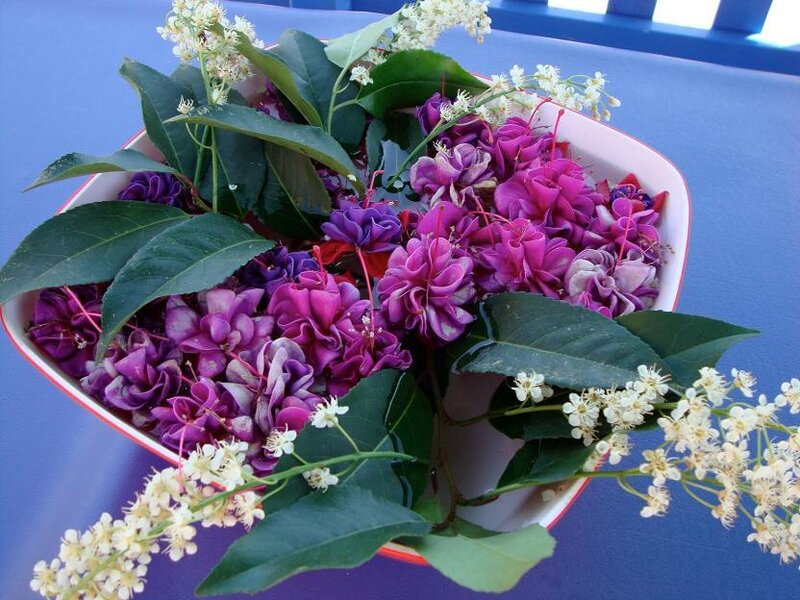 Purple flowers in a bowl