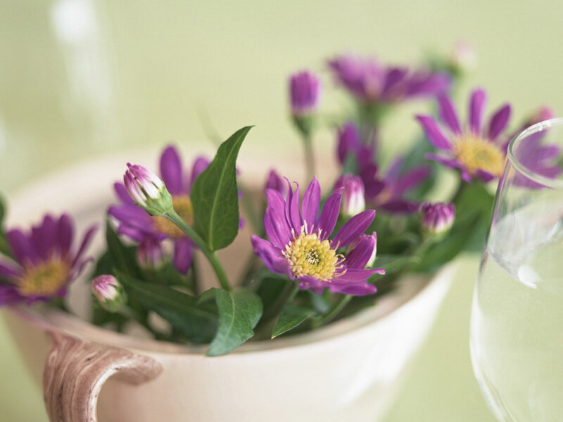 Purple Flowers in a Bowl — Calm