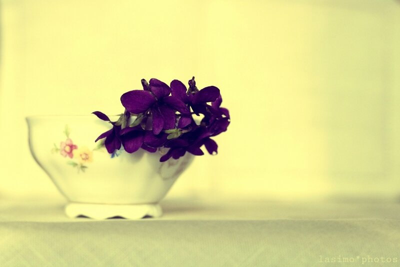 Purple Flowers in a Bowl — Yellow