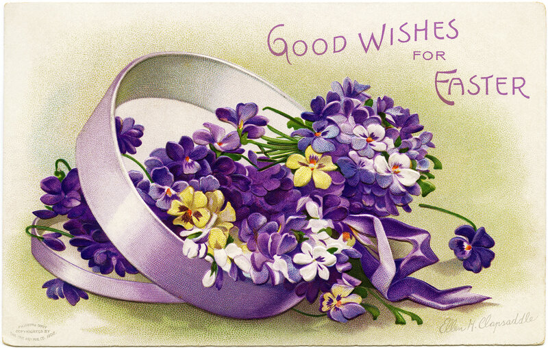 Purple Flowers in a Box