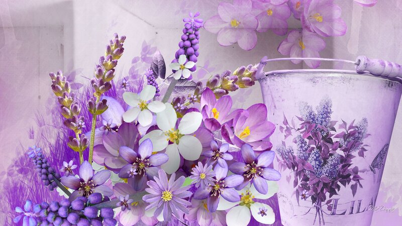 Purple Flowers in a Bucket