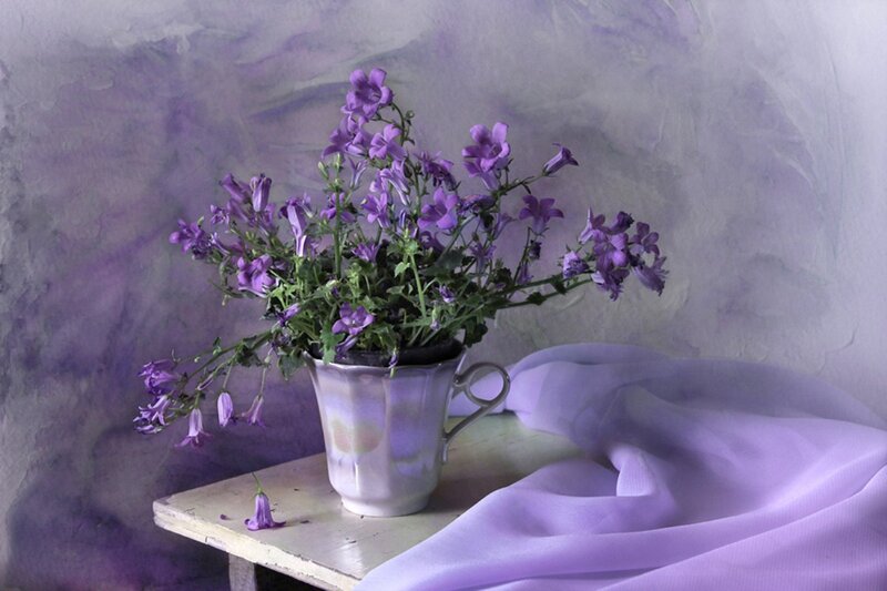 Purple Flowers in a Cup — Serene, Photograph