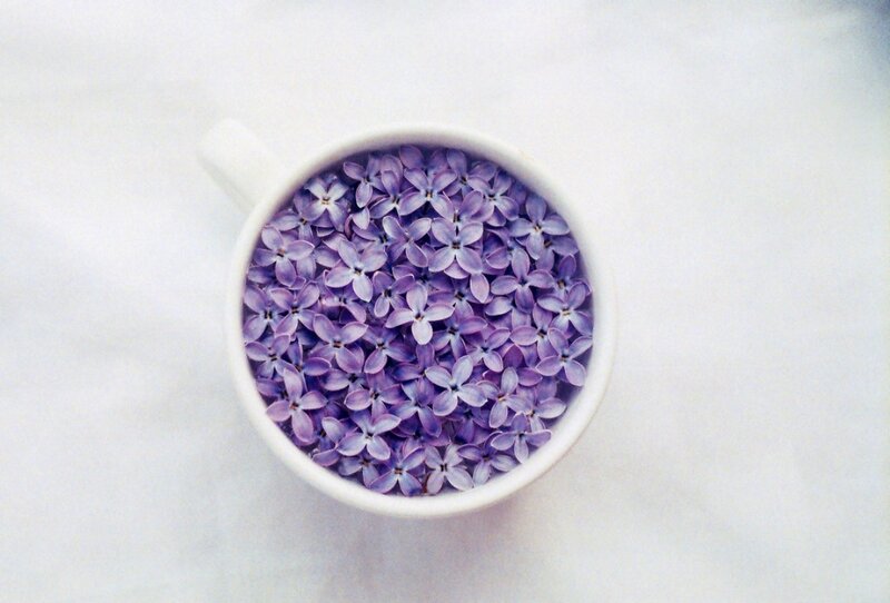 Purple Flowers in a Cup — Serene