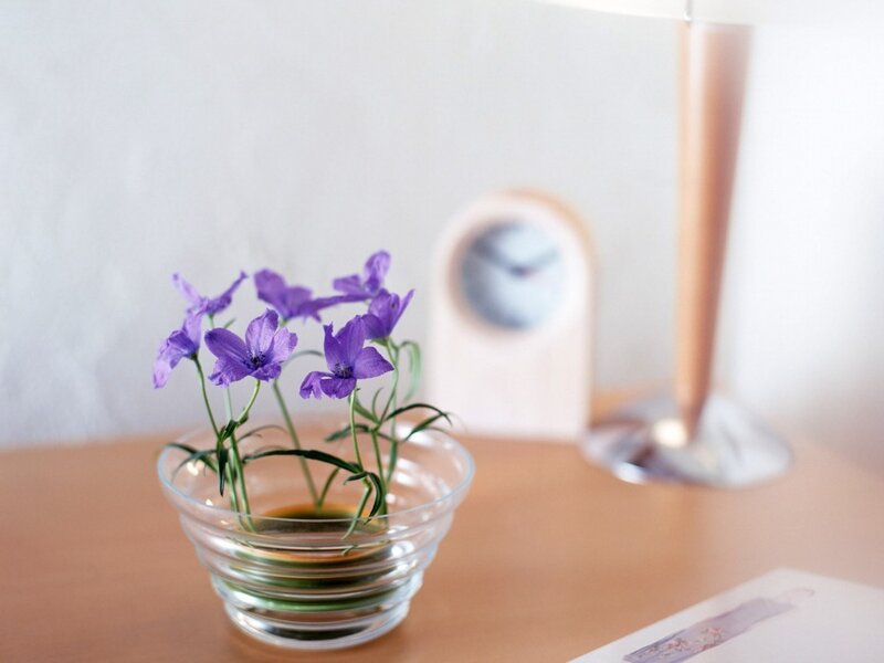 Purple flowers in a glass bowl