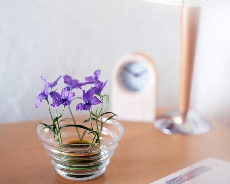 Purple flowers in a glass bowl
