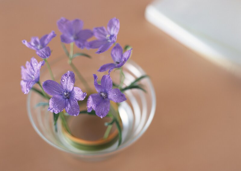 Purple flowers in a glass vase