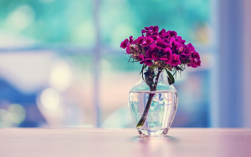 Purple flowers in a glass vase