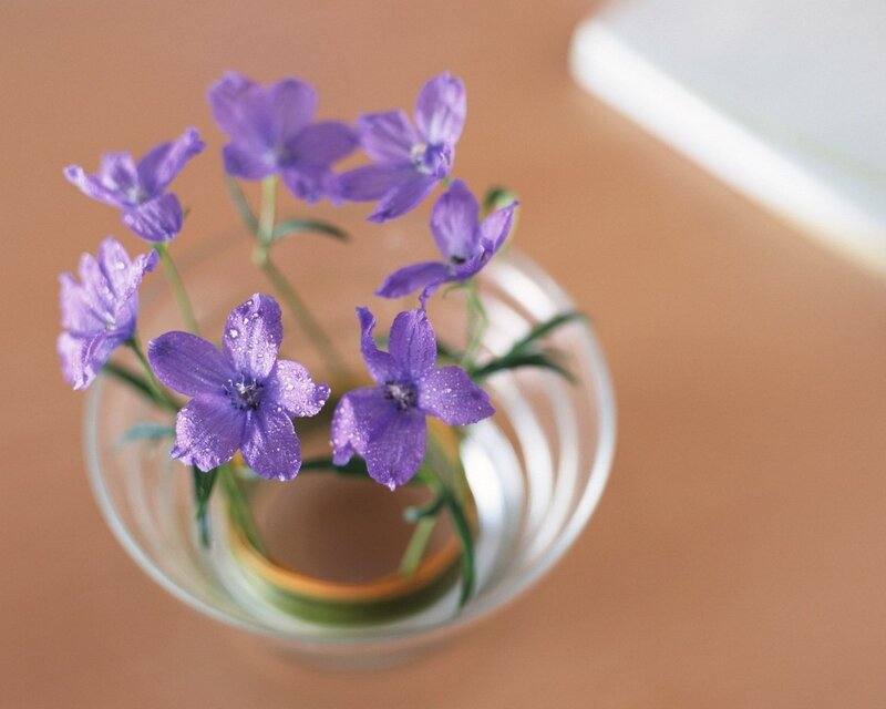 Purple flowers in a glass vase