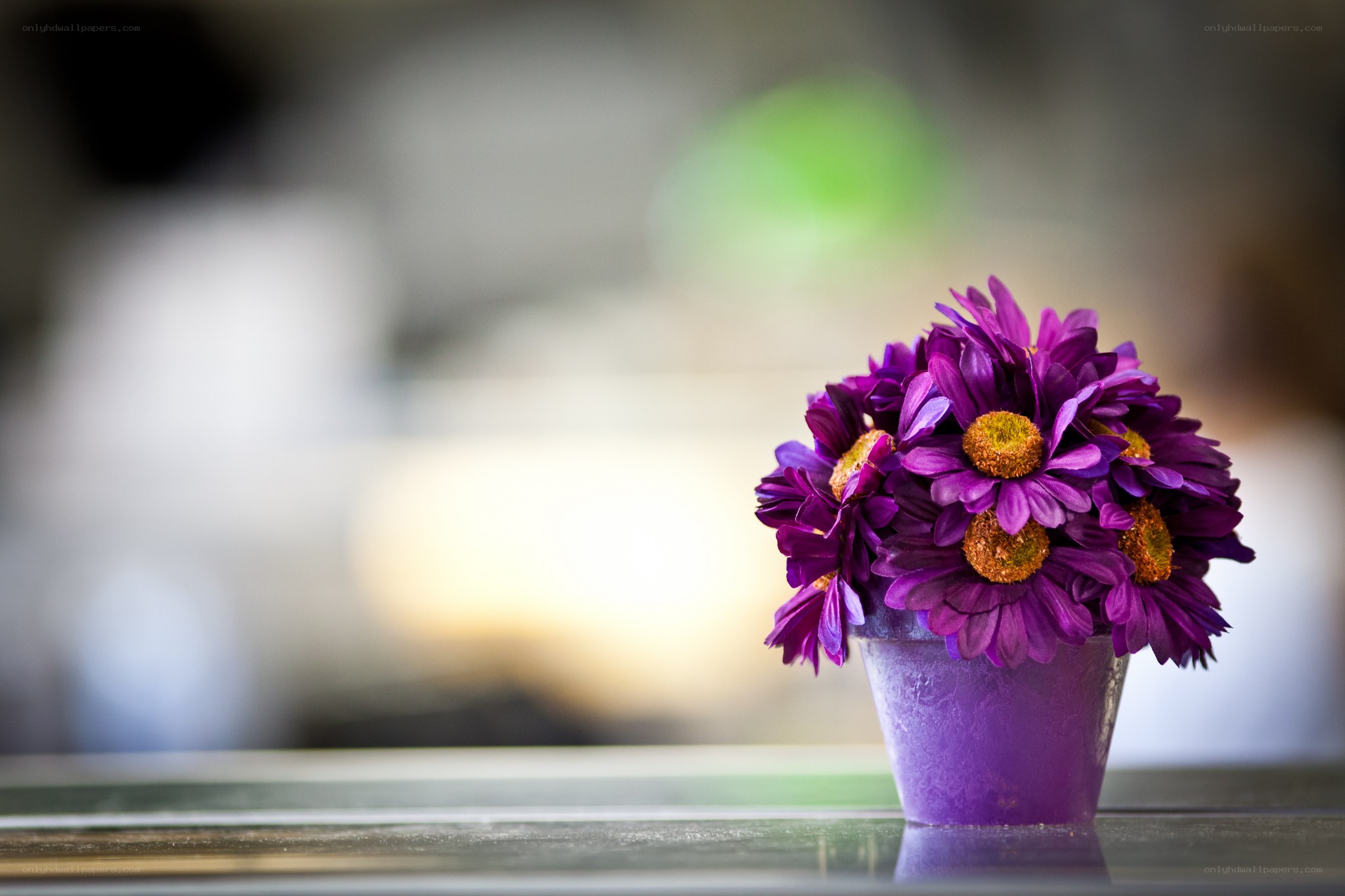 Purple flowers in a pot