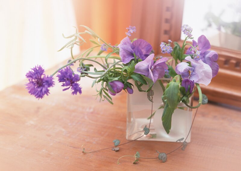 Purple flowers in a vase