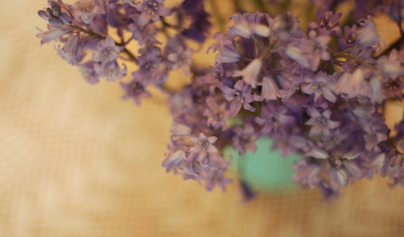 purple flowers in a vase
