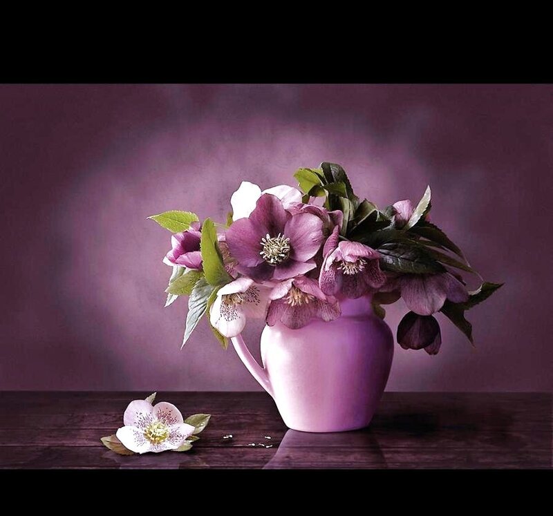 Purple flowers in a vase