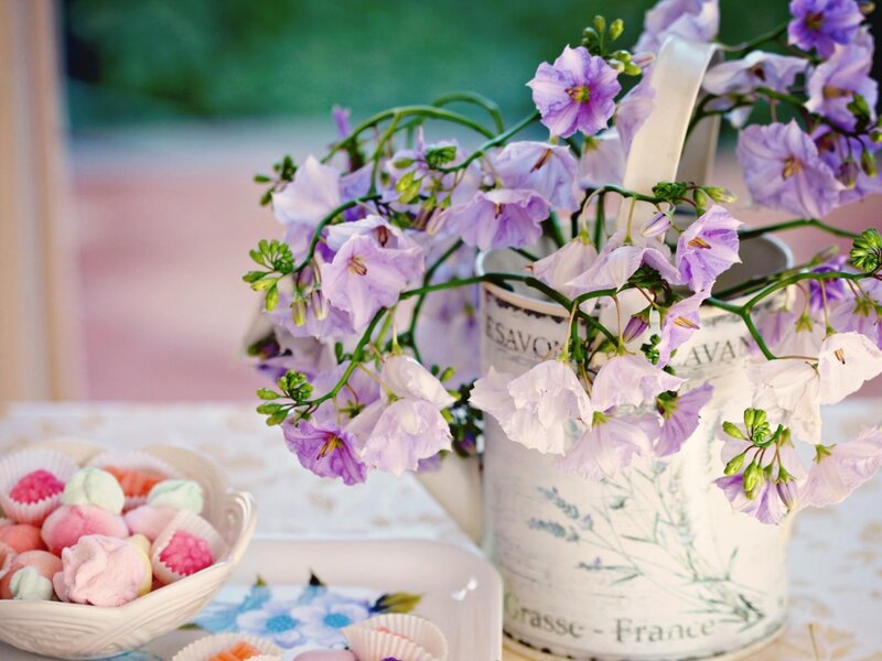 Purple Flowers in a Vase — Serene, Afternoon