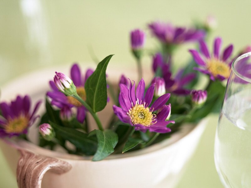 Purple flowers in a white bowl