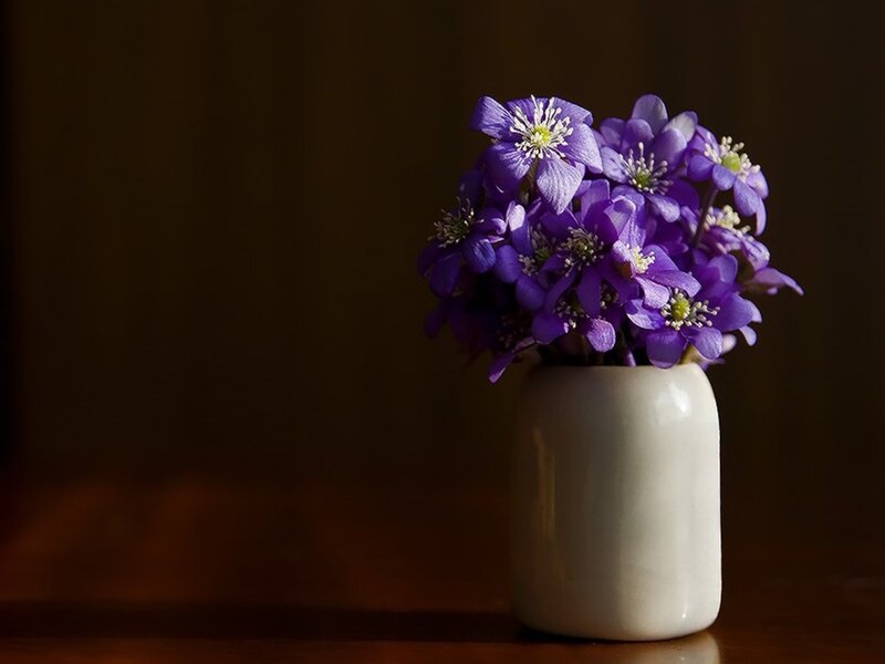 purple flowers in a white vase