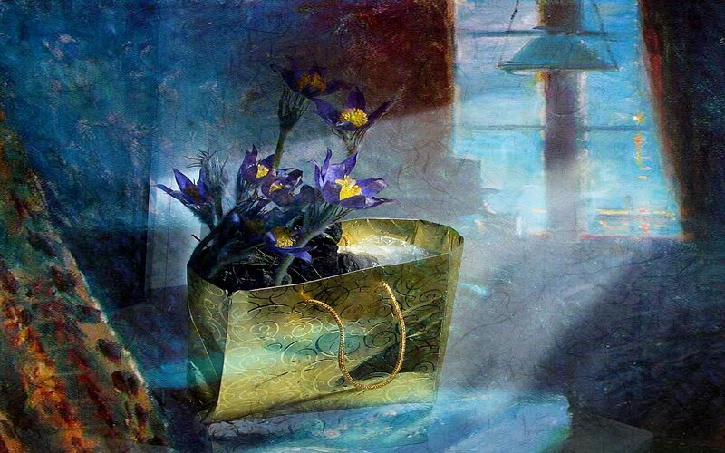 Purple Flowers in Bag