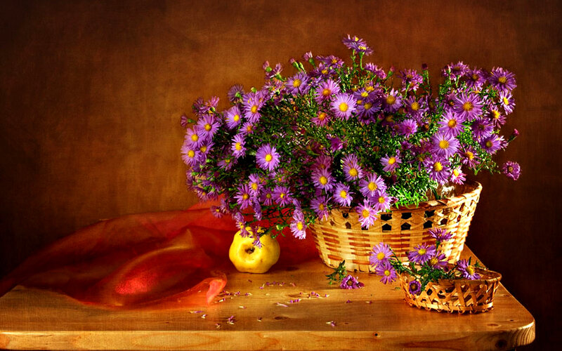 Purple Flowers in Basket — Brown, Calm