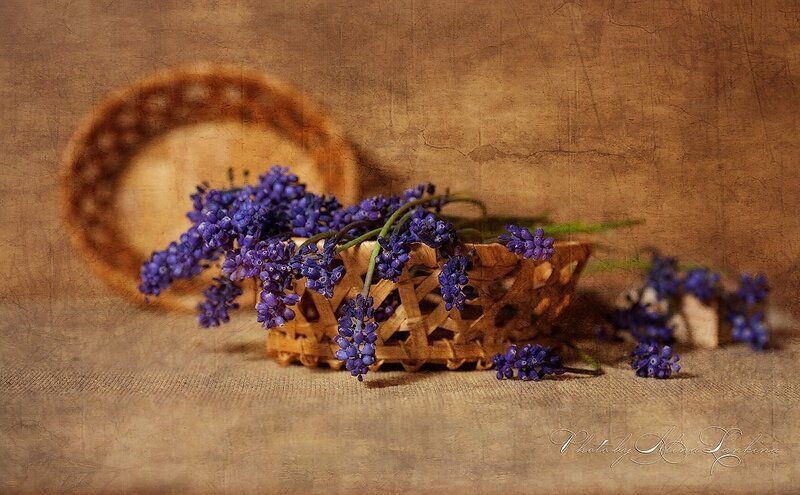 Purple Flowers in Basket — Brown