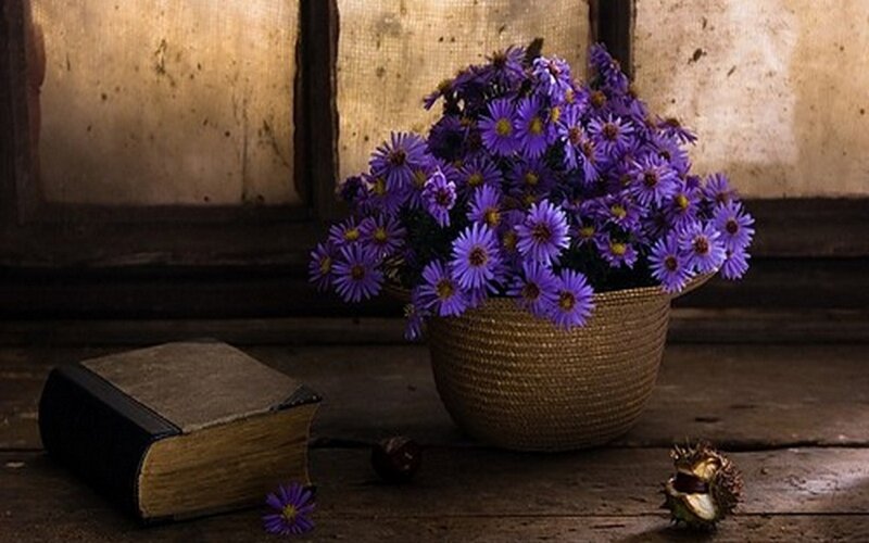 Purple Flowers in Basket — Calm, Photograph, Book