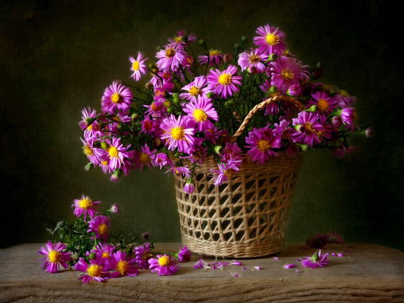Purple Flowers in Basket — Calm, Photograph, Table