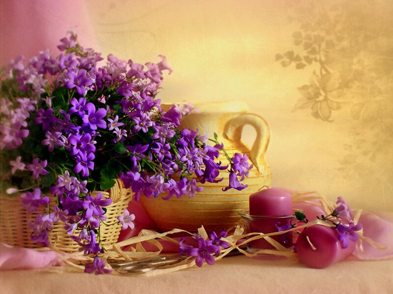 Purple Flowers in Basket — Calm