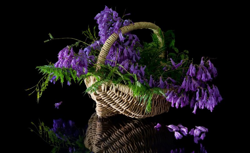 Purple Flowers in Basket — Dramatic