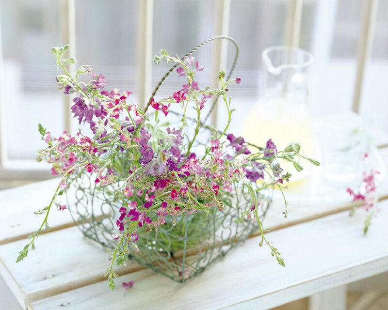 Purple Flowers in Basket — Pink