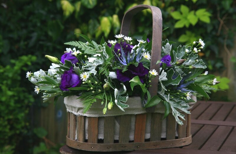 Purple Flowers in Basket — Serene, Afternoon, Photograph, Greenery