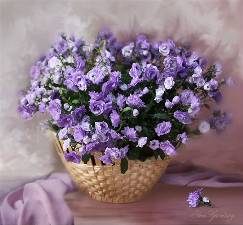 Purple Flowers in Basket — Serene, Photograph, Cloth, Flower