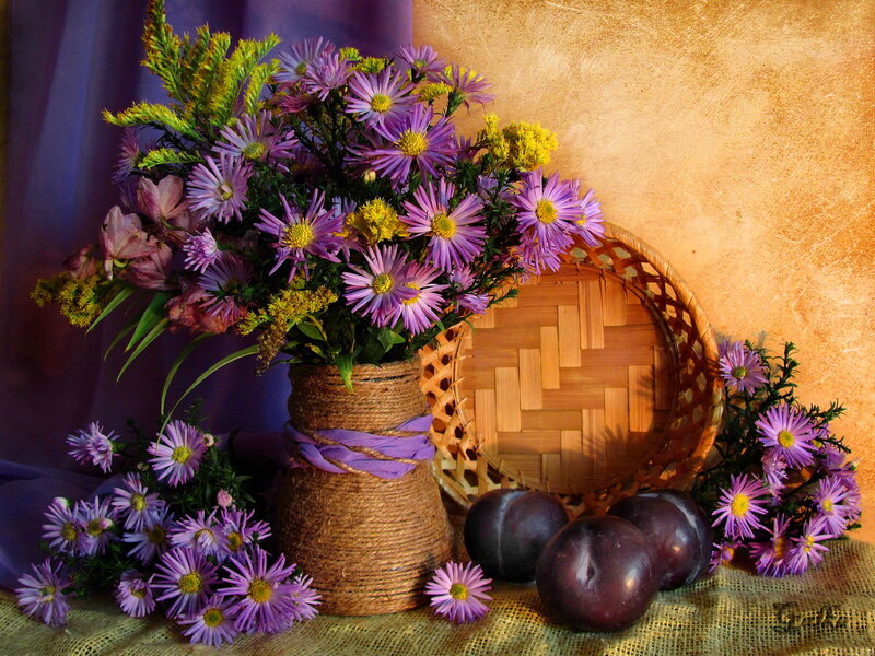 Purple Flowers in Basket — Serene, Photograph, Plums