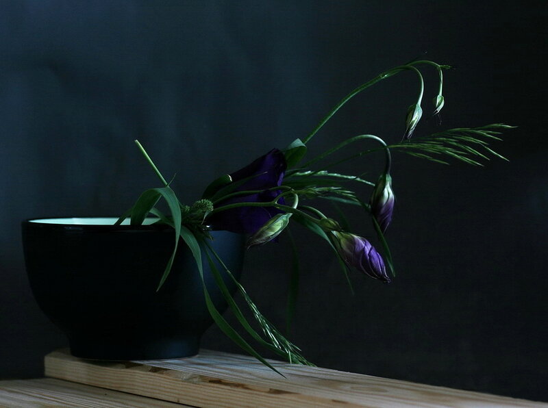 Purple Flowers in Black Bowl