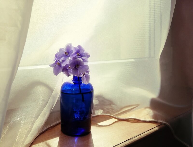 Purple Flowers in Blue Bottle