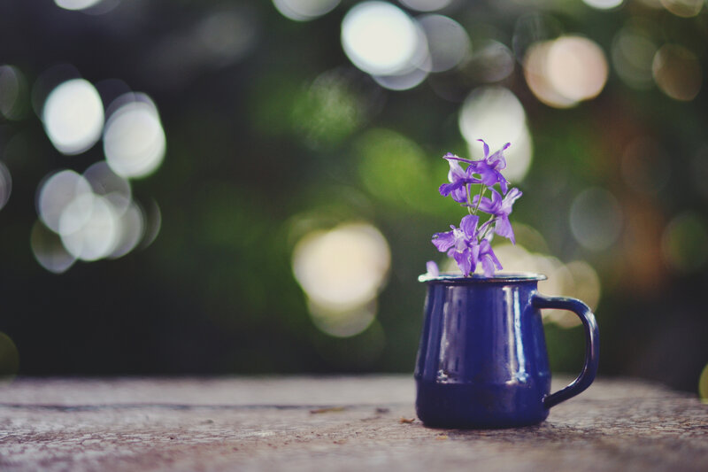 Purple Flowers in Blue Mug