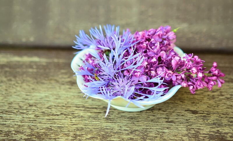 Purple Flowers in Bowl — Calm