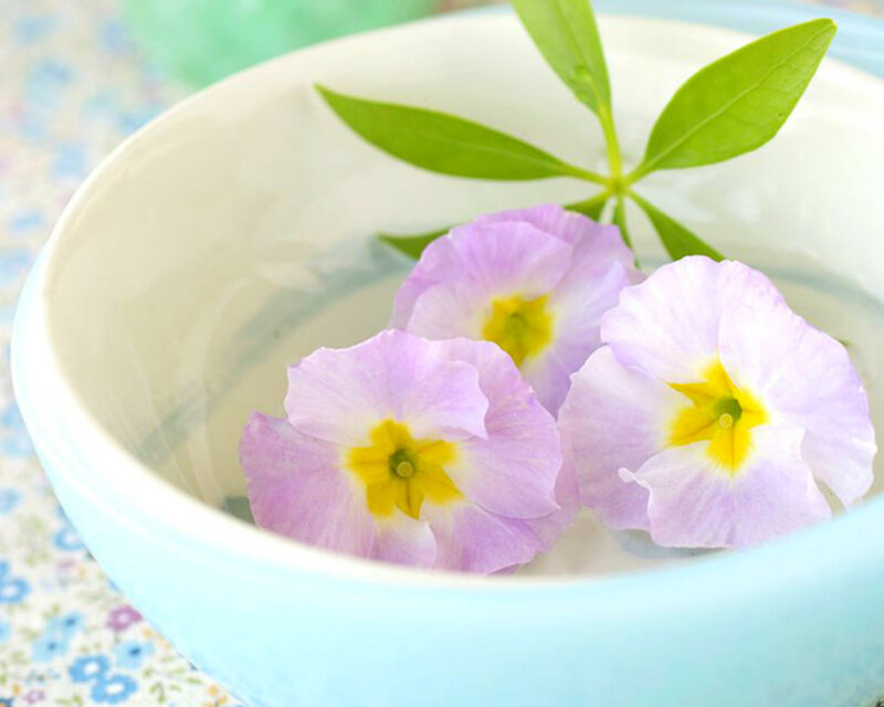 Purple Flowers in Bowl — Light Blue