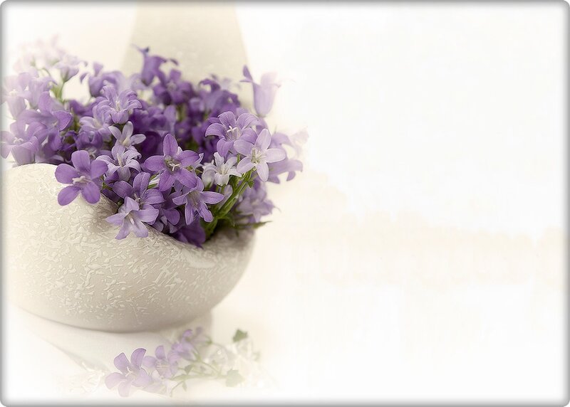 Purple Flowers in Bowl