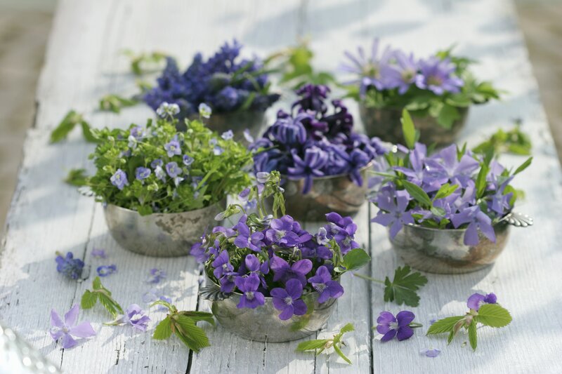 Purple Flowers in Bowls