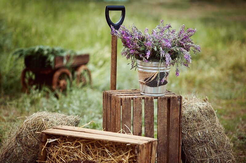 Purple Flowers in Bucket — Green