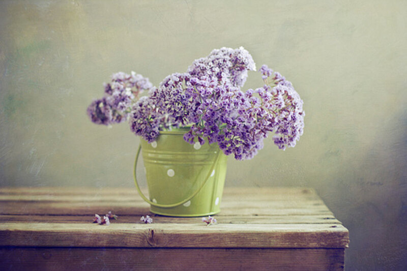 Purple Flowers in Bucket