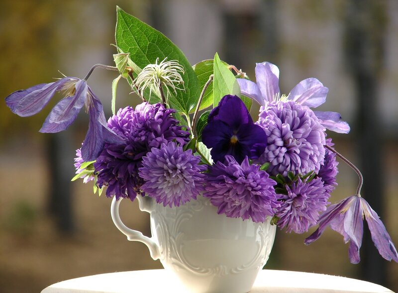 Purple Flowers in Cup — Serene, Afternoon