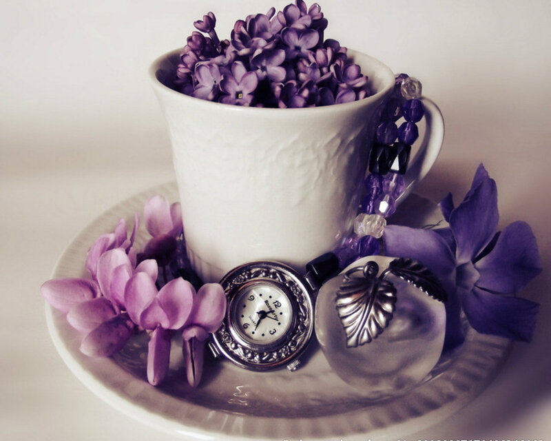 Purple Flowers in Cup — Serene, Photograph