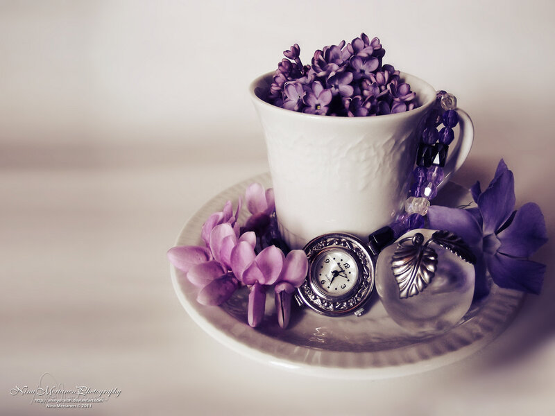 Purple Flowers in Cup — Serene