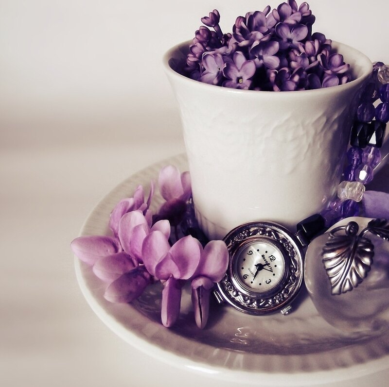 Purple Flowers in Cup — White