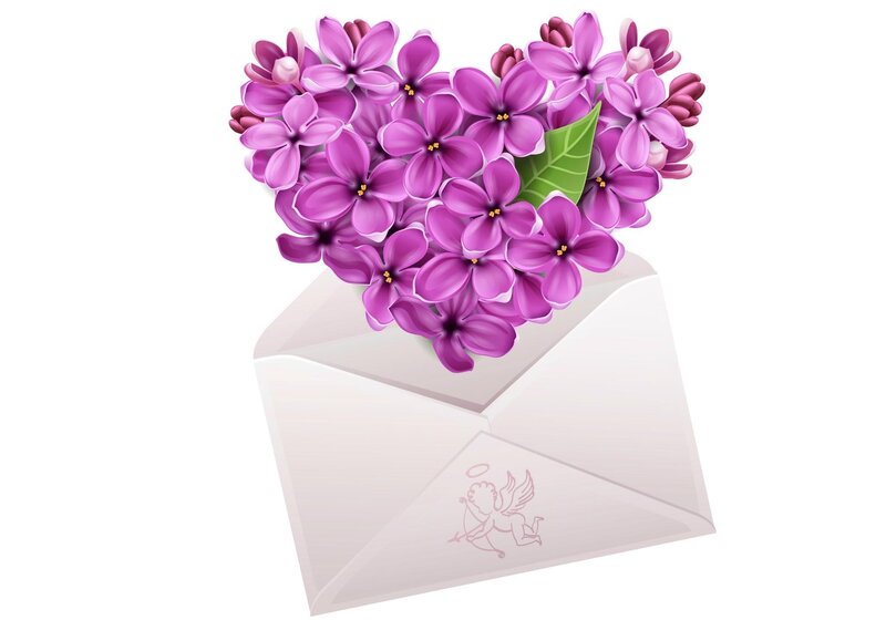 Purple Flowers in Envelope