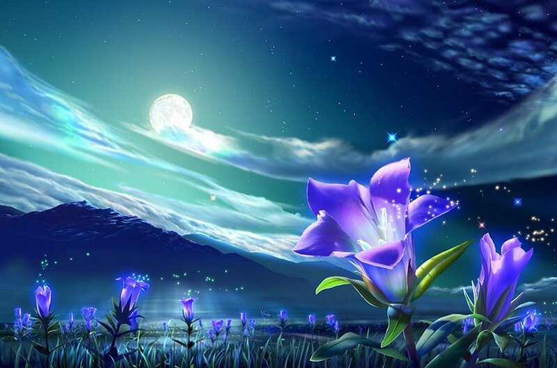 Purple Flowers in Field — Blue, Serene, Night