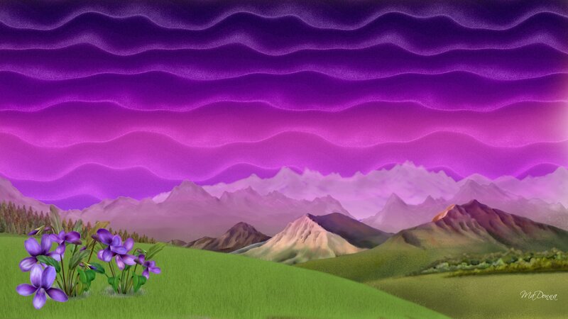 Purple Flowers in Field — Dreamy