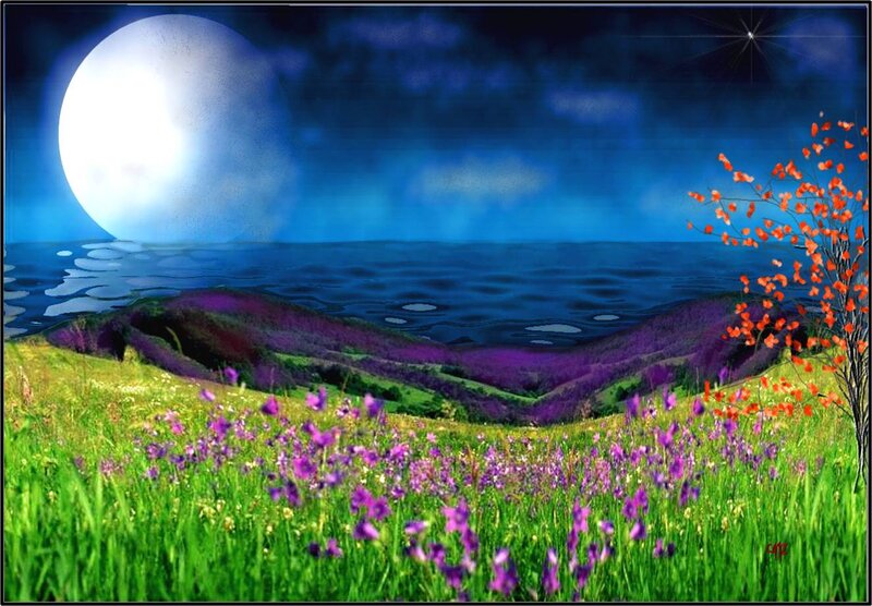 Purple Flowers in Field — Green, Serene, Night