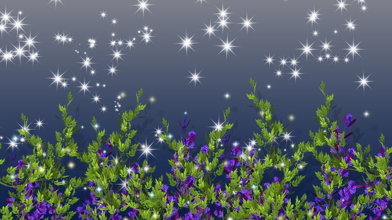 Purple Flowers in Field — Green, Serene